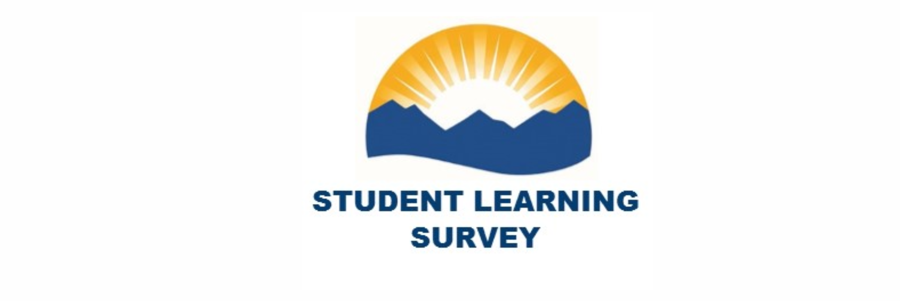 student learning survey